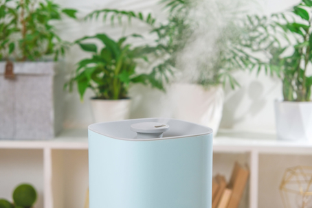 A light blue humidifier releases mist in a room with many green potted houseplants