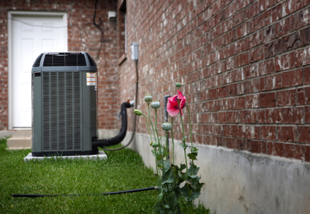 An outdoor air conditioning unit sits next to a brick house with a flower growing nearby